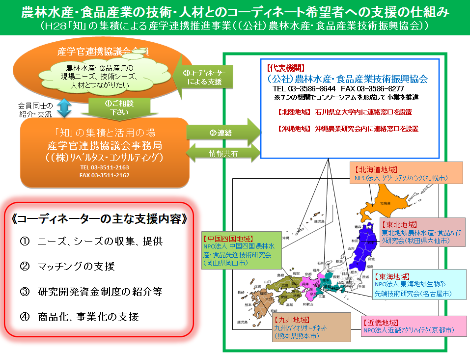 コンサルティング リベルタス